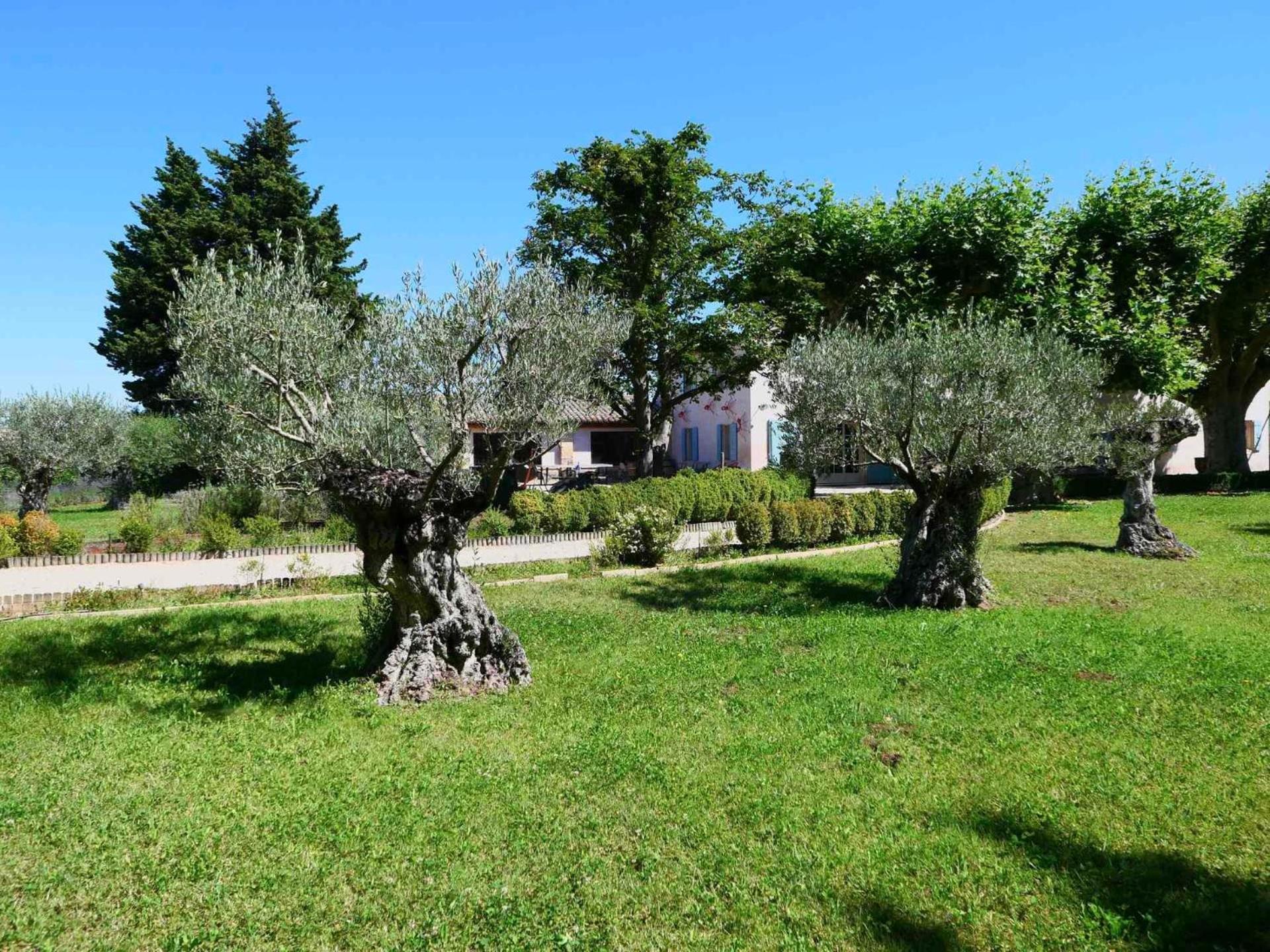Typical Provencal Farm House Close To L'Isle Sur La Sorgue - 12 Persons Cavaillon Εξωτερικό φωτογραφία