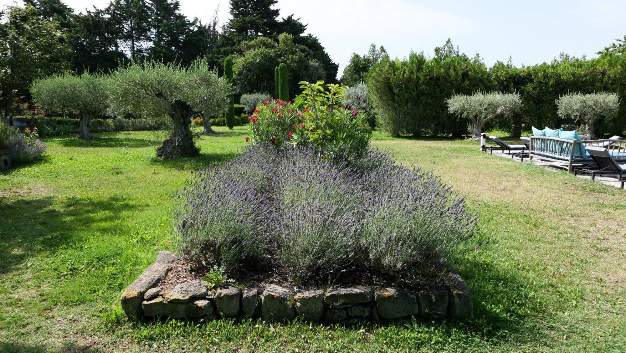 Typical Provencal Farm House Close To L'Isle Sur La Sorgue - 12 Persons Cavaillon Εξωτερικό φωτογραφία