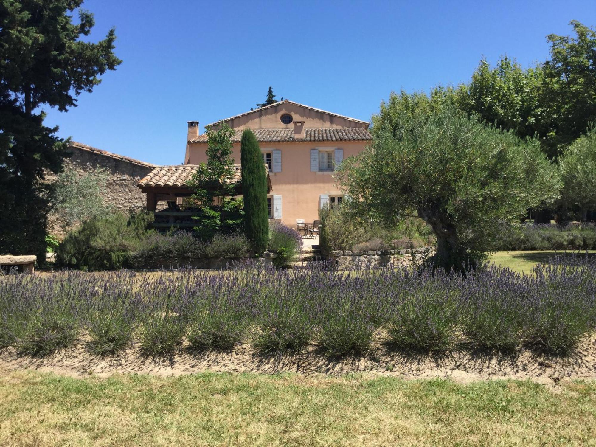 Typical Provencal Farm House Close To L'Isle Sur La Sorgue - 12 Persons Cavaillon Εξωτερικό φωτογραφία