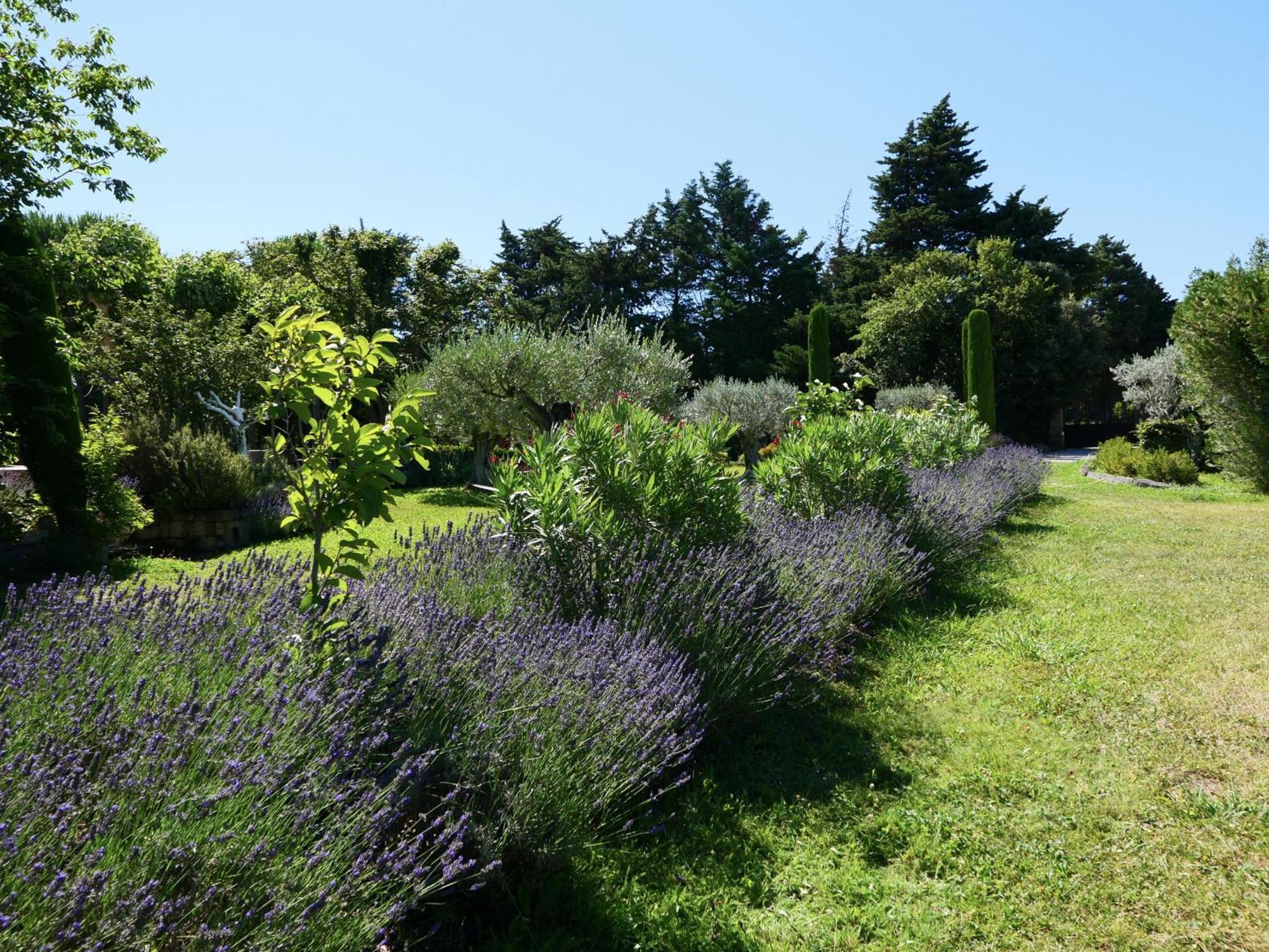 Typical Provencal Farm House Close To L'Isle Sur La Sorgue - 12 Persons Cavaillon Εξωτερικό φωτογραφία