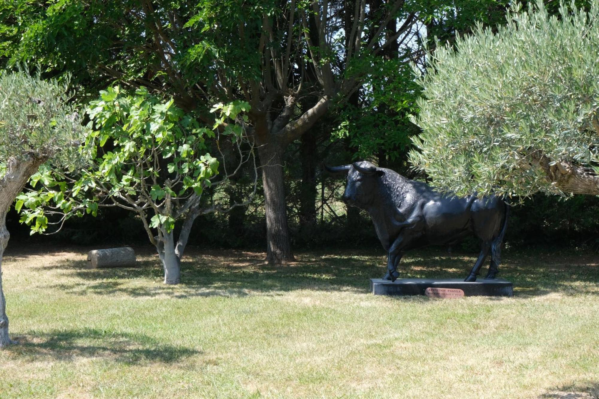 Typical Provencal Farm House Close To L'Isle Sur La Sorgue - 12 Persons Cavaillon Εξωτερικό φωτογραφία