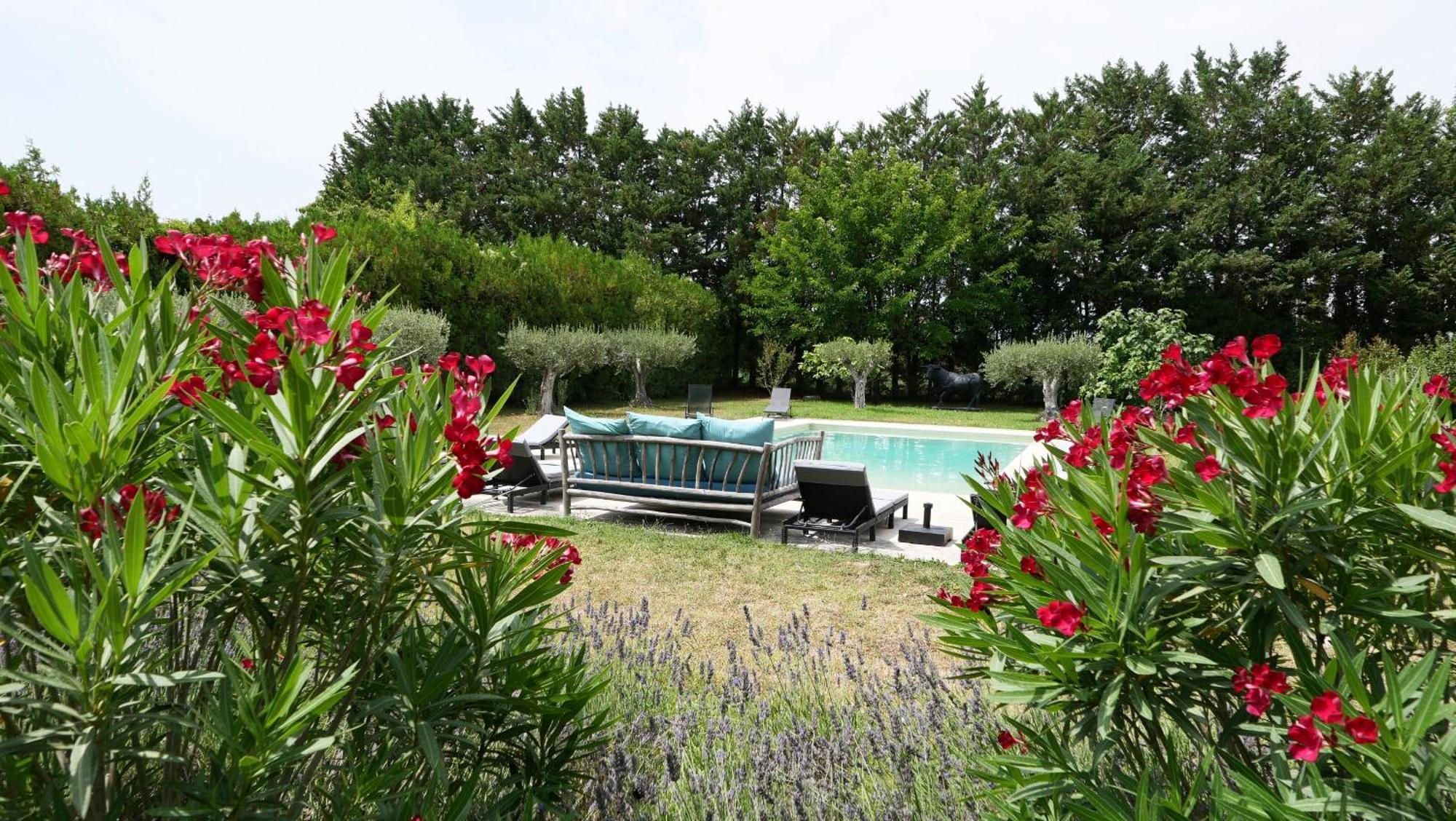 Typical Provencal Farm House Close To L'Isle Sur La Sorgue - 12 Persons Cavaillon Εξωτερικό φωτογραφία