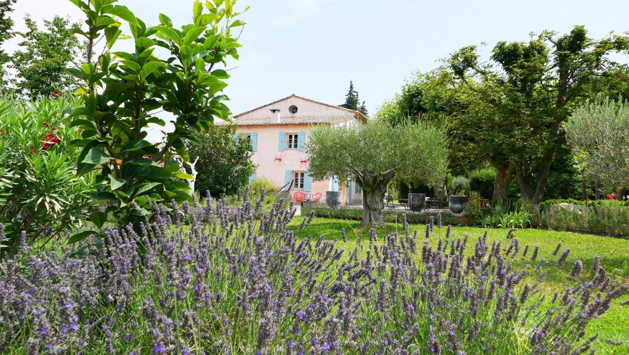 Typical Provencal Farm House Close To L'Isle Sur La Sorgue - 12 Persons Cavaillon Εξωτερικό φωτογραφία